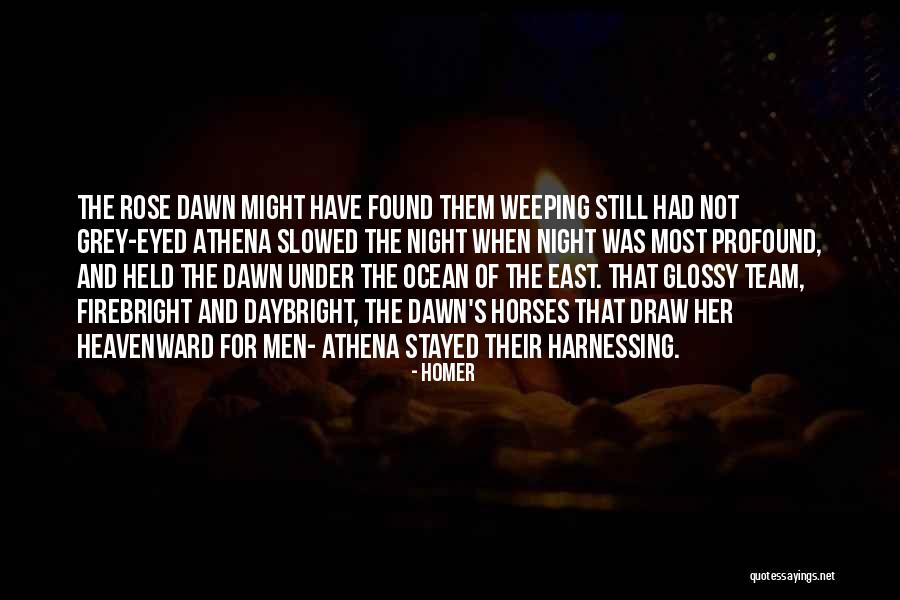 Pictor S Quotes By Homer Pictor S Quotes By Homer