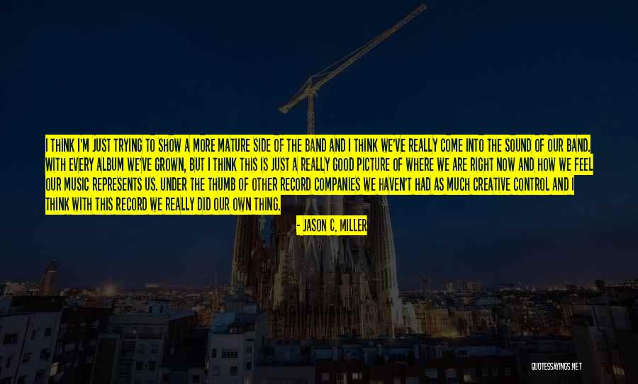 Picture Album Quotes By Jason C. Miller