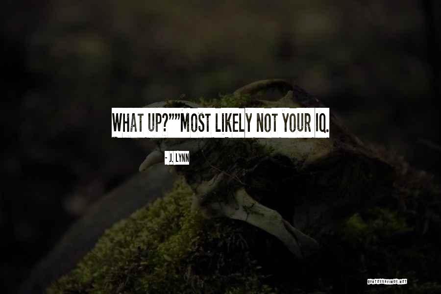 Picture Credits Quotes By J. Lynn