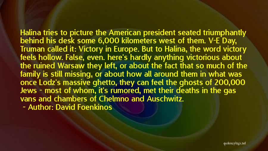 Picture Day Quotes By David Foenkinos