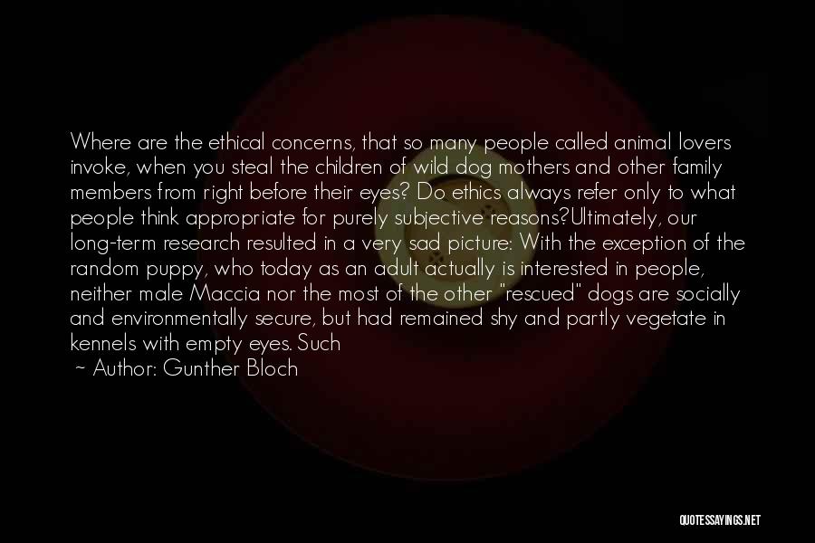 Picture For Quotes By Gunther Bloch Picture For Quotes By Gunther Bloch