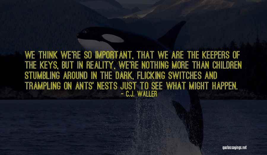 Picture Shy Quotes By C.J. Waller Picture Shy Quotes By C.J. Waller