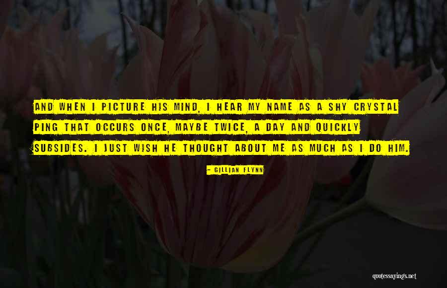 Picture Shy Quotes By Gillian Flynn Picture Shy Quotes By Gillian Flynn