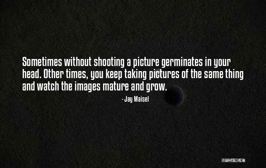 Picture Taking Quotes By Jay Maisel Picture Taking Quotes By Jay Maisel
