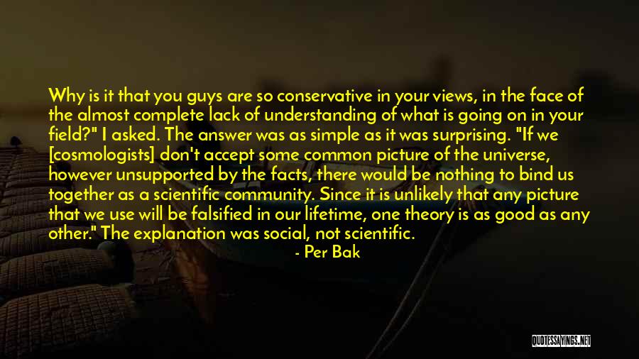 Picture Theory Quotes By Per Bak Picture Theory Quotes By Per Bak