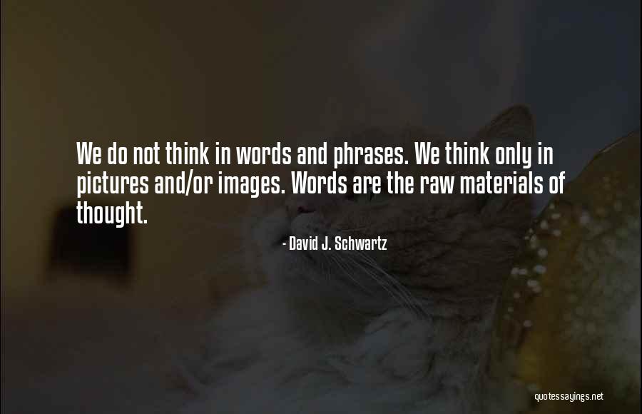 Pictures And Words Quotes By David J. Schwartz