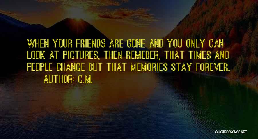 Pictures Are Just Memories Quotes By C.M.