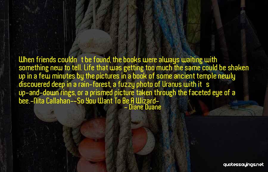 Pictures Of Rain Quotes By Diane Duane Pictures Of Rain Quotes By Diane Duane