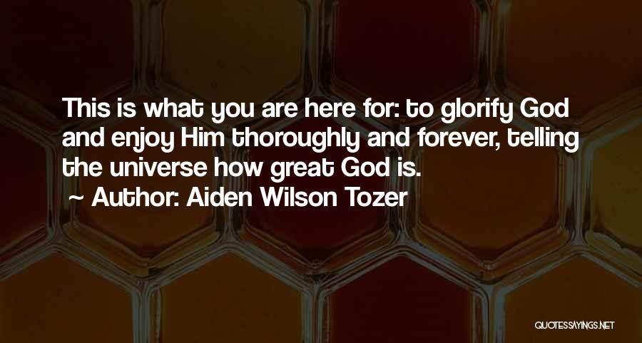 Pictures Of Sunshine On My Shoulders Quotes By Aiden Wilson Tozer