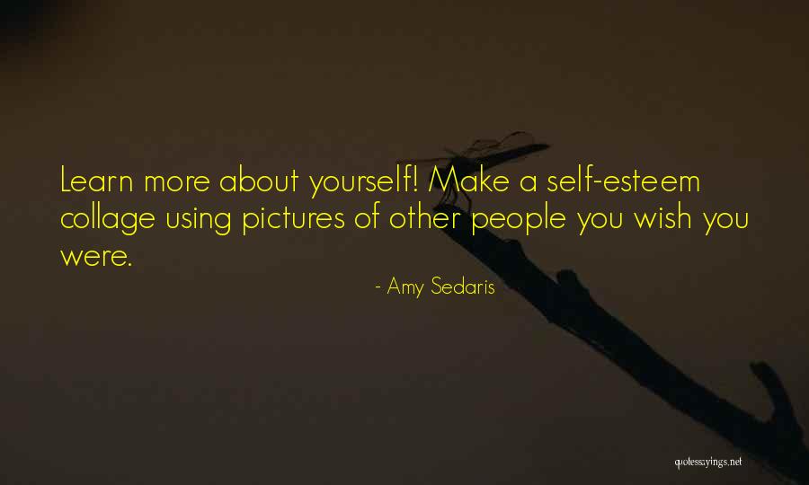 Pictures Of Yourself Quotes By Amy Sedaris