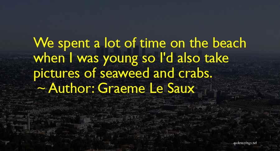 Pictures On The Beach Quotes By Graeme Le Saux