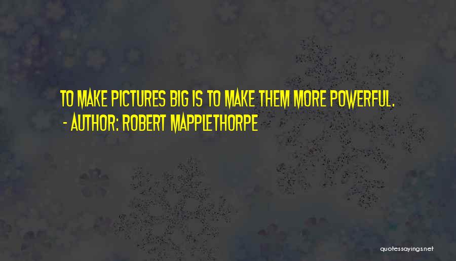 Pictures Quotes By Robert Mapplethorpe