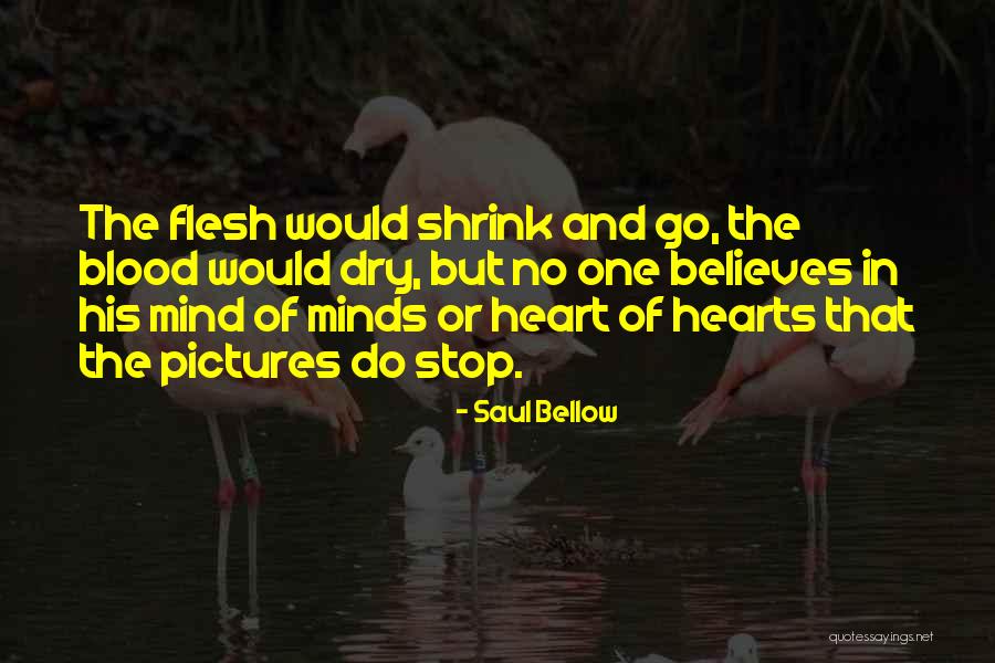 Pictures Quotes By Saul Bellow