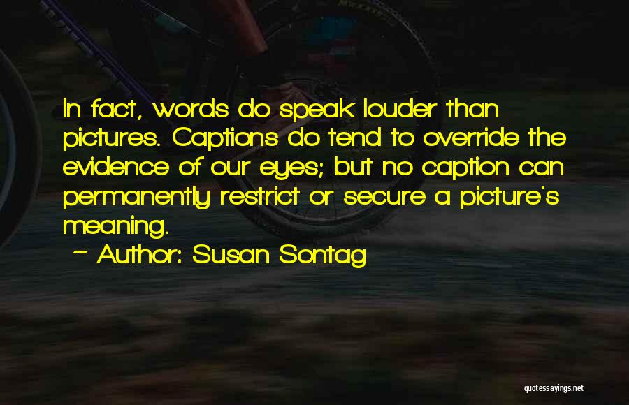 Pictures Speak Louder Than Words Quotes By Susan Sontag