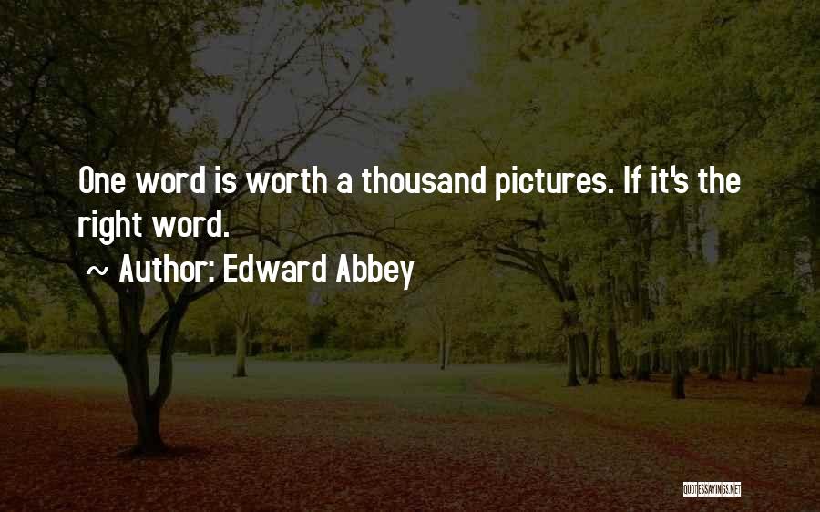 Pictures Worth A Thousand Words Quotes By Edward Abbey