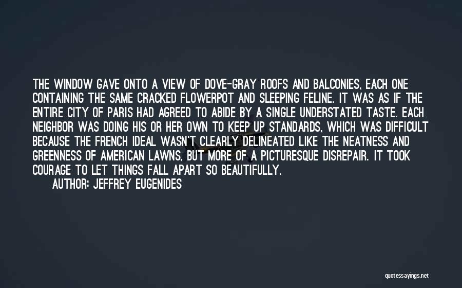 Picturesque View Quotes By Jeffrey Eugenides