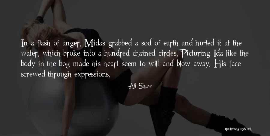 Picturing Quotes By Ali Shaw Picturing Quotes By Ali Shaw