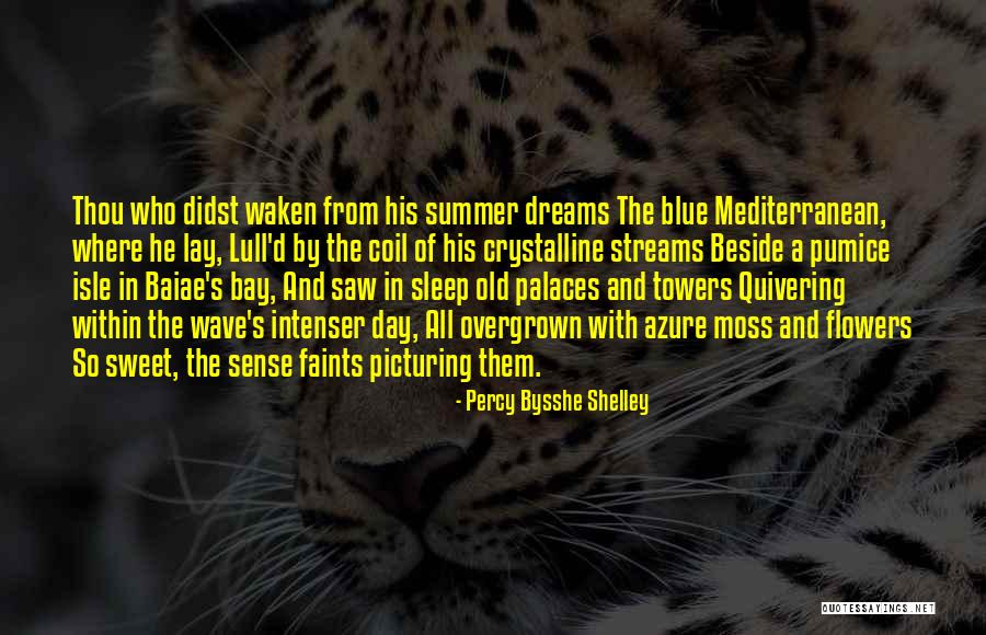 Picturing Quotes By Percy Bysshe Shelley Picturing Quotes By Percy Bysshe Shelley