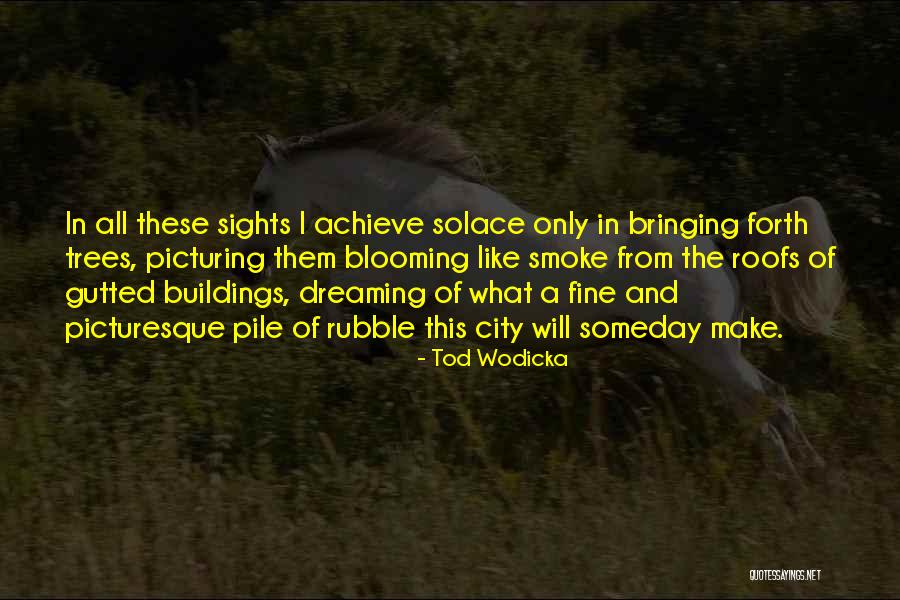 Picturing Quotes By Tod Wodicka Picturing Quotes By Tod Wodicka