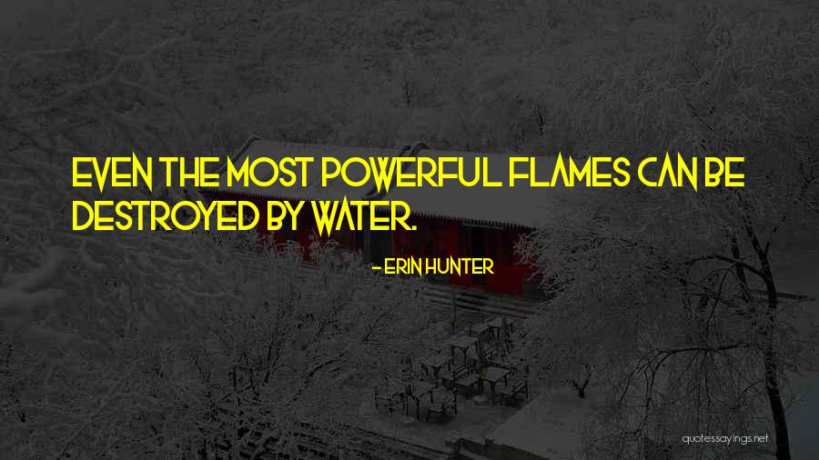 Piculet Quotes By Erin Hunter Piculet Quotes By Erin Hunter