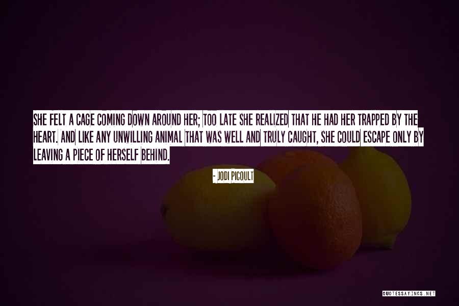 Piece By Piece Quotes By Jodi Picoult Piece By Piece Quotes By Jodi Picoult
