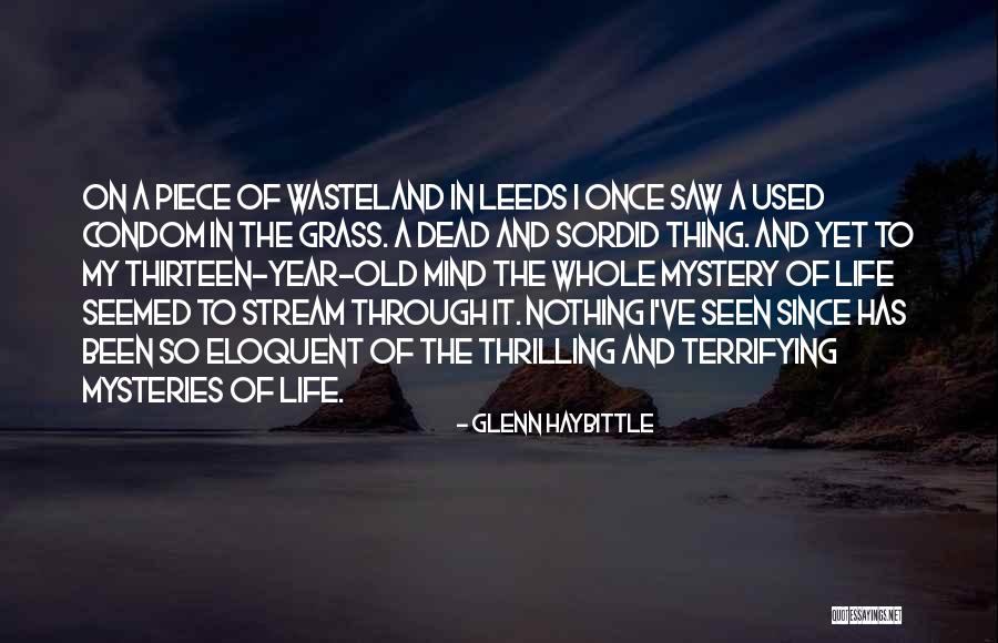 Piece Of Mind Quotes By Glenn Haybittle Piece Of Mind Quotes By Glenn Haybittle