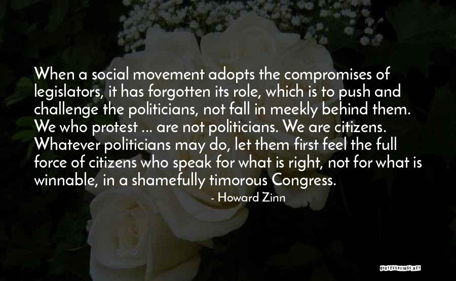 Piecemeal Fashion Quotes By Howard Zinn Piecemeal Fashion Quotes By Howard Zinn