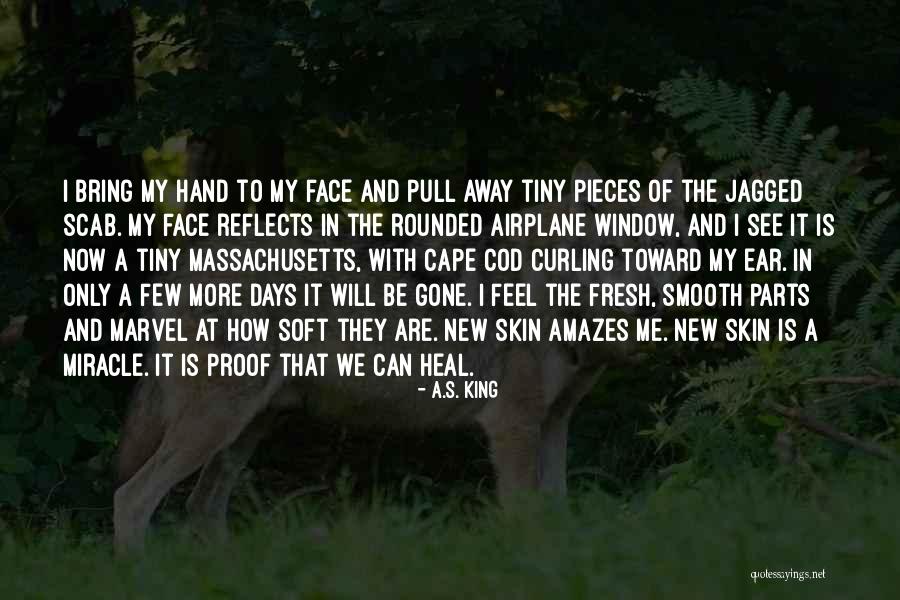 Pieces And Parts Quotes By A.S. King Pieces And Parts Quotes By A.S. King