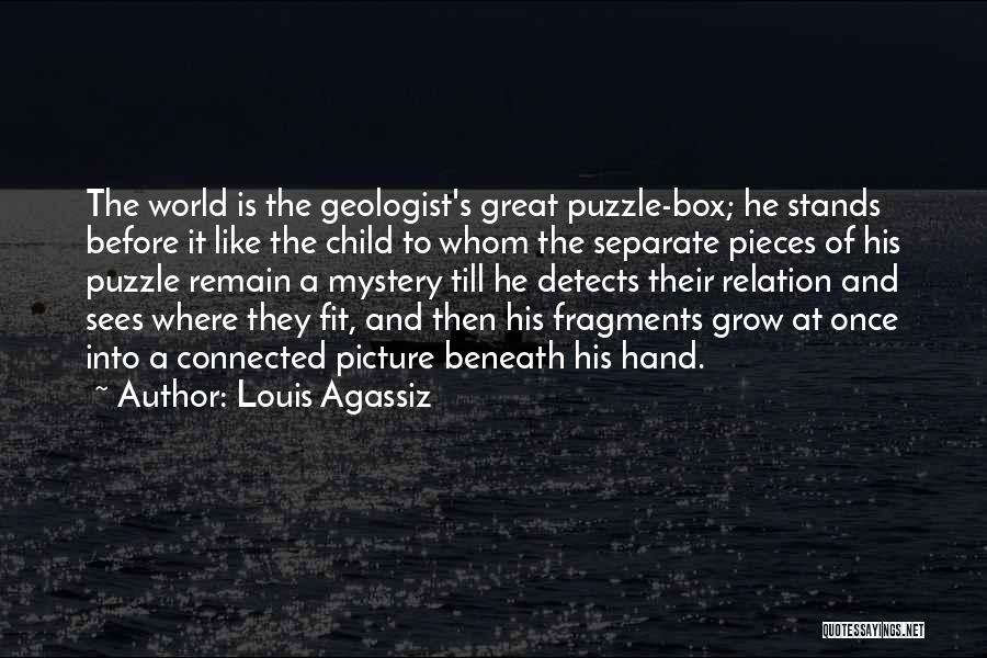 Pieces Of A Puzzle Quotes By Louis Agassiz