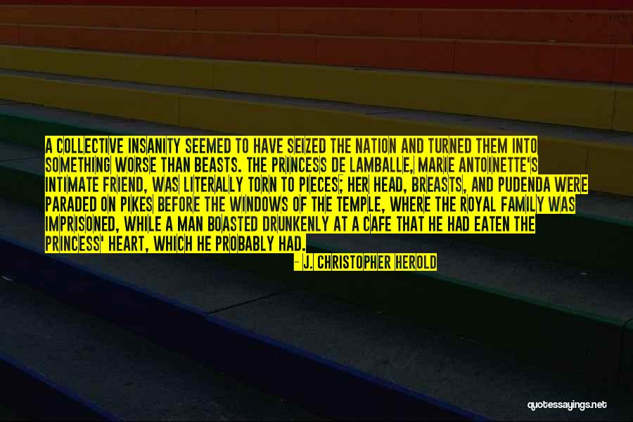 Pieces Of Heart Quotes By J. Christopher Herold Pieces Of Heart Quotes By J. Christopher Herold