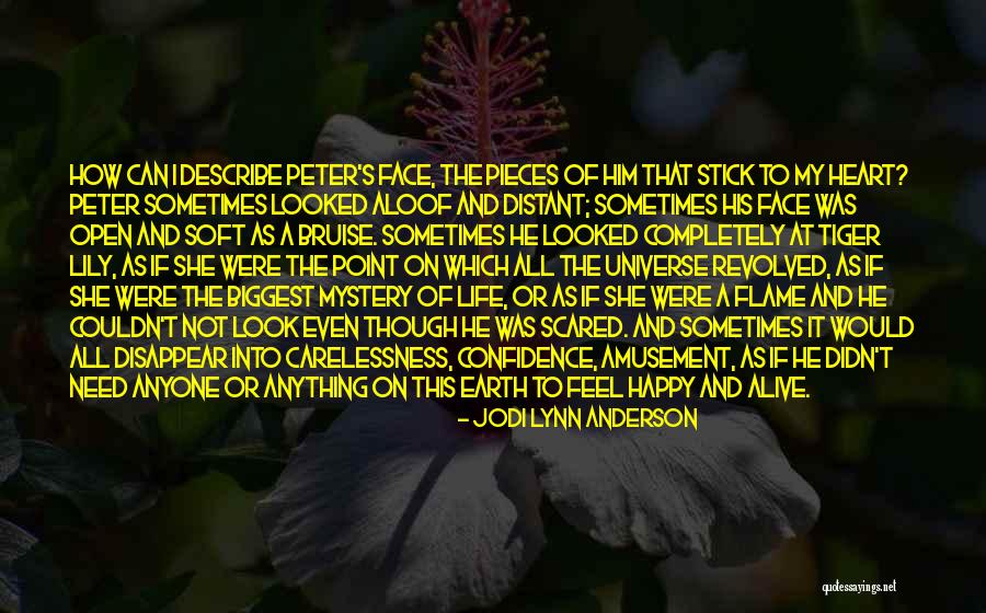 Pieces Of Heart Quotes By Jodi Lynn Anderson Pieces Of Heart Quotes By Jodi Lynn Anderson