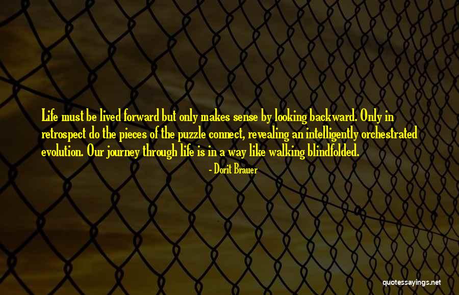 Pieces Of The Puzzle Quotes By Dorit Brauer Pieces Of The Puzzle Quotes By Dorit Brauer