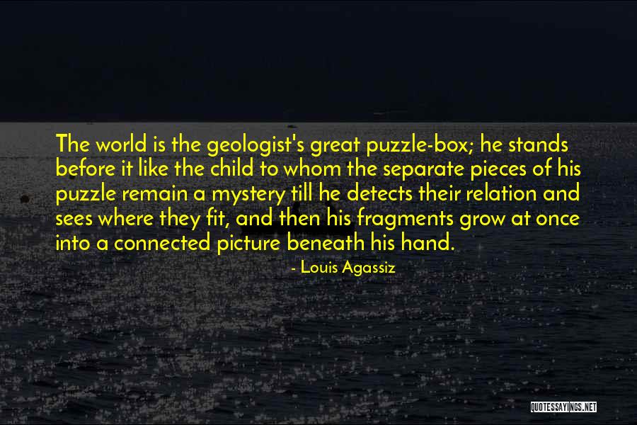 Pieces Of The Puzzle Quotes By Louis Agassiz Pieces Of The Puzzle Quotes By Louis Agassiz
