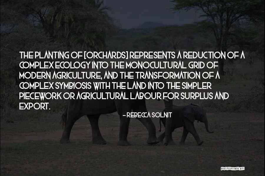 Piecework Quotes By Rebecca Solnit Piecework Quotes By Rebecca Solnit