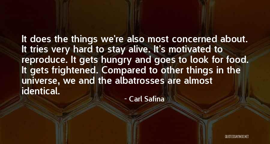 Piechota Quotes By Carl Safina Piechota Quotes By Carl Safina