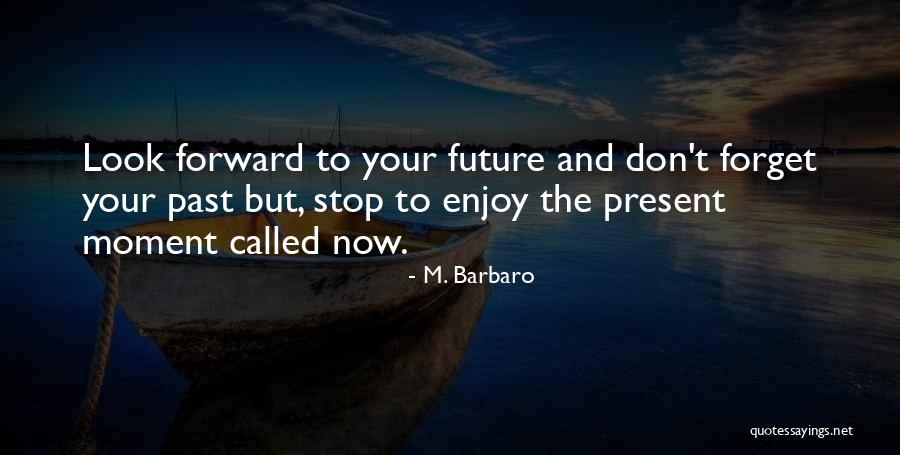 Pied Pipers Quotes By M. Barbaro Pied Pipers Quotes By M. Barbaro