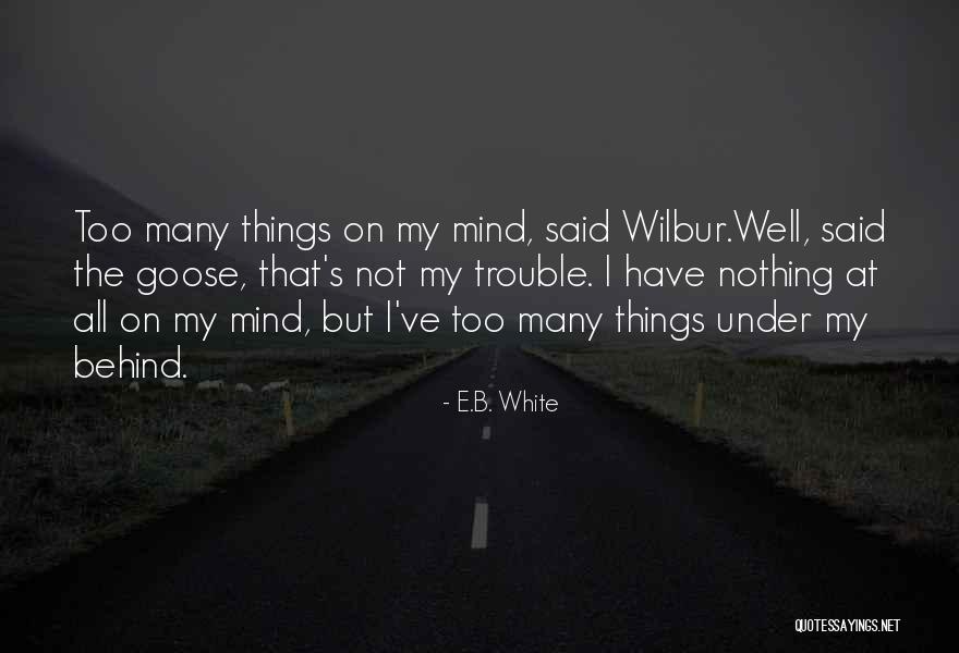 Piehler Vision Quotes By E.B. White Piehler Vision Quotes By E.B. White