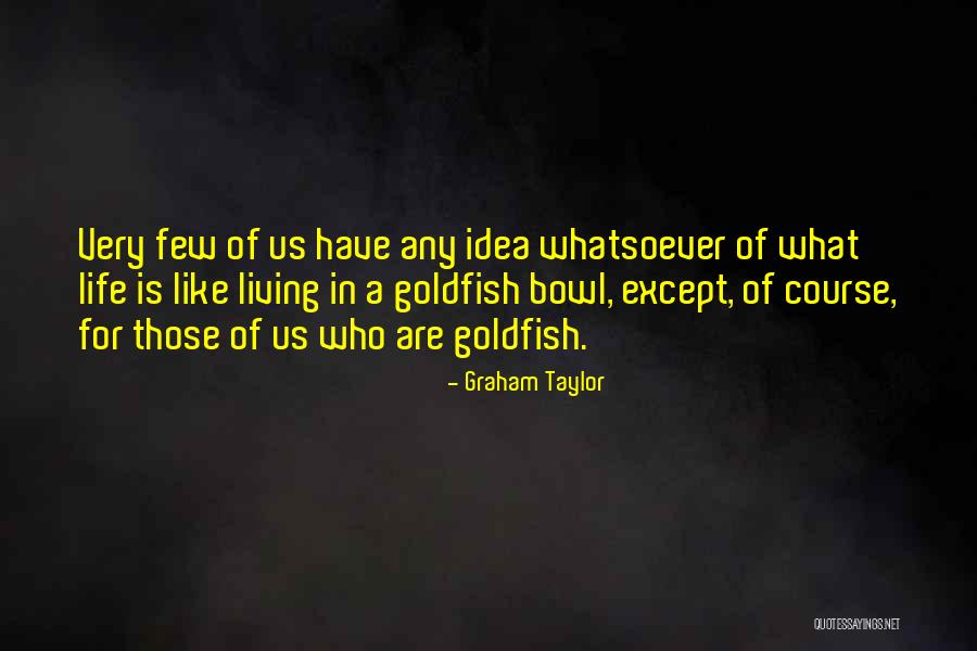 Piekna Melodia Quotes By Graham Taylor Piekna Melodia Quotes By Graham Taylor