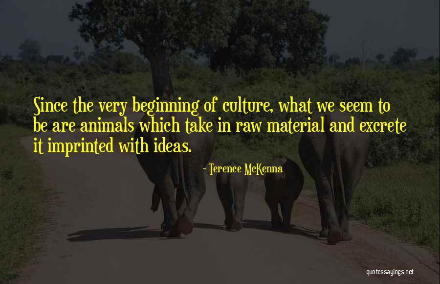Pieles Cast Quotes By Terence McKenna Pieles Cast Quotes By Terence McKenna