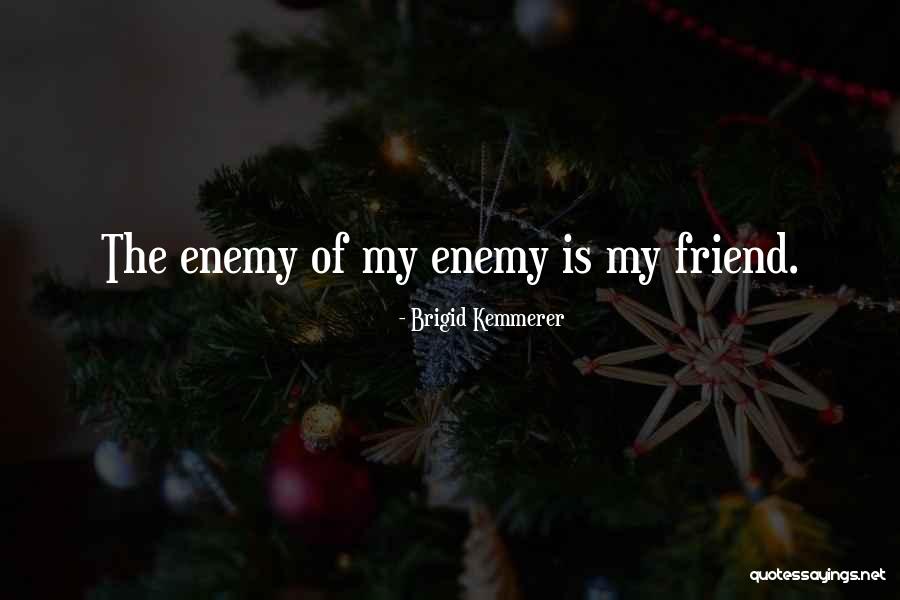 Pienezza Kissimmee Quotes By Brigid Kemmerer Pienezza Kissimmee Quotes By Brigid Kemmerer