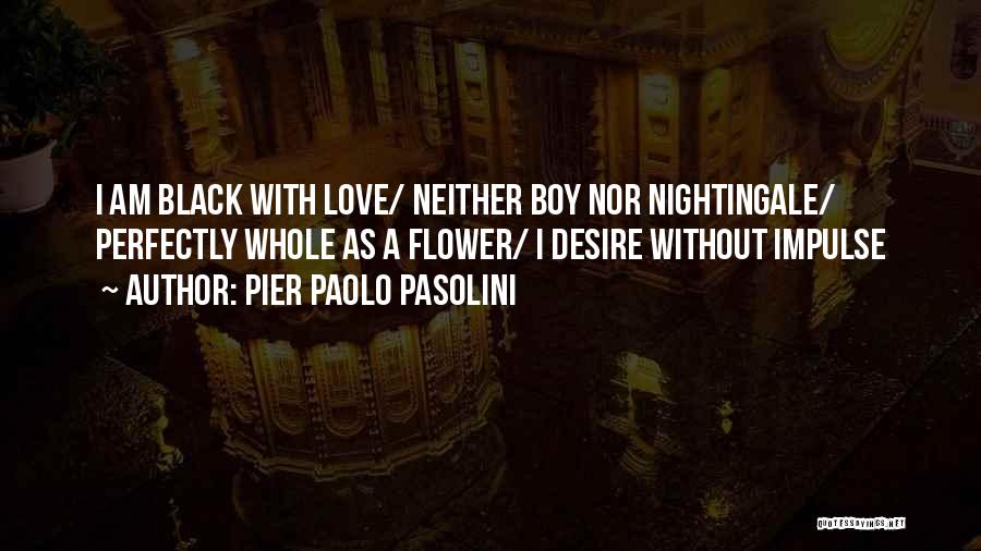 Pier Paolo Pasolini Quotes 1247474