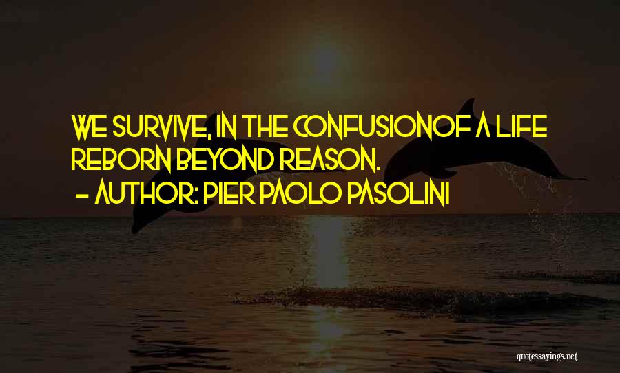 Pier Paolo Pasolini Quotes 1806019