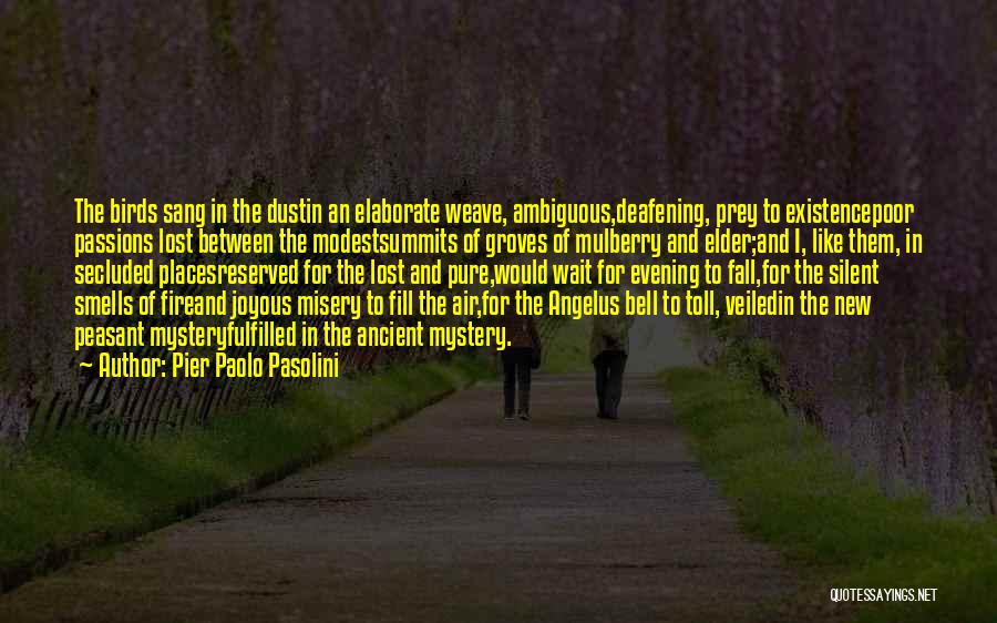 Pier Paolo Pasolini Quotes 2245573