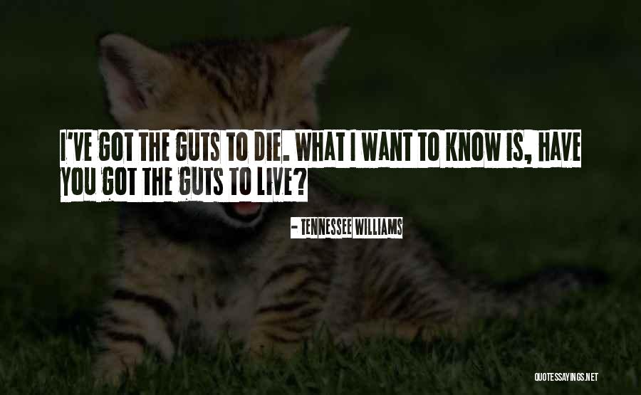 Pieras Shelby Quotes By Tennessee Williams Pieras Shelby Quotes By Tennessee Williams