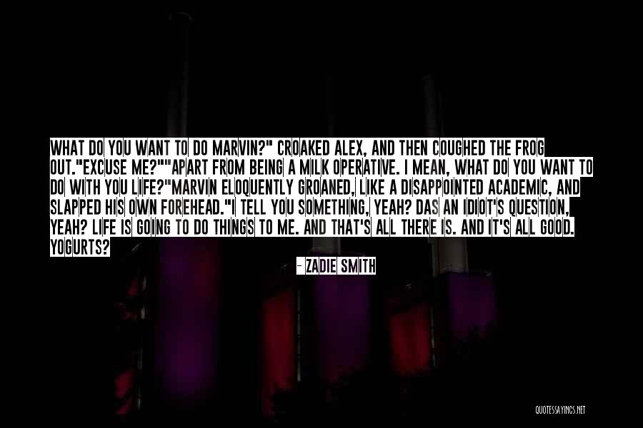 Pieratts Washer Quotes By Zadie Smith Pieratts Washer Quotes By Zadie Smith