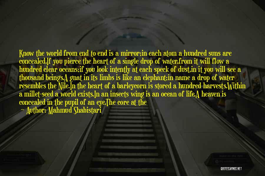 Pierce Quotes By Mahmud Shabistari