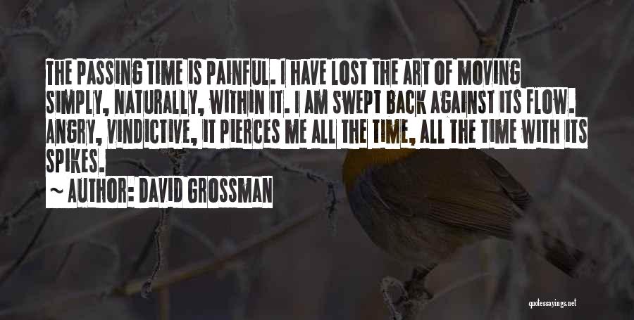 Pierces Quotes By David Grossman