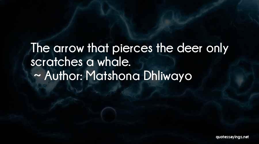 Pierces Quotes By Matshona Dhliwayo