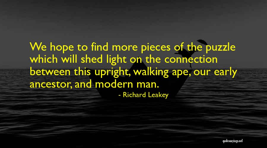 Piercetheveil Quotes By Richard Leakey Piercetheveil Quotes By Richard Leakey