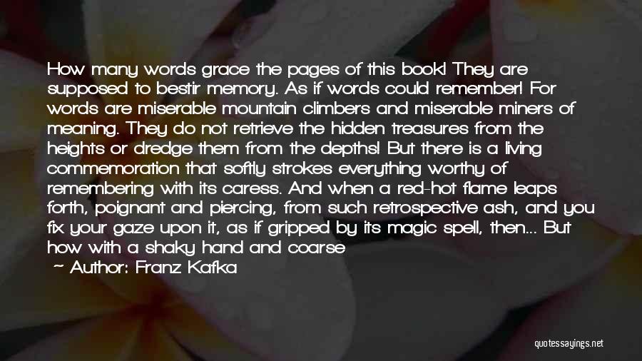 Piercing Words Quotes By Franz Kafka